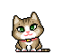 cat 21